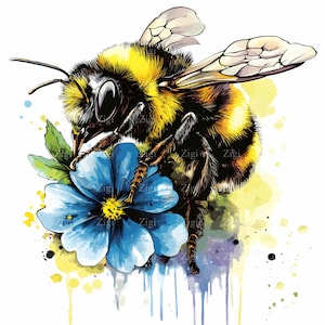 28 imágenes prediseñadas de abejorro en formato JPEG: abeja vibrante sobre una flor azul, arte polinizador inspirado en acuarela, ilustración de la naturaleza, descarga en formato JPG
