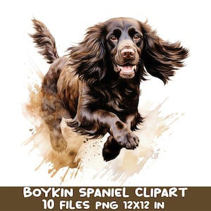 Paquete de imágenes prediseñadas de perro Boykin Spaniel, 10 imágenes PNG de caza de patos en acuarela por sublimación, ilustración para amantes de la naturaleza, manualidades de papel imprimibles