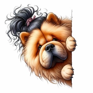 12 PNG Peekaboo pup – Chow Chow PNG clipart – Cute fluffy dog art for pet lovers, decals, greeting cards, funny wall prints