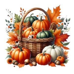 14 Kürbiskorb PNG Clipart, Herbsterntekorb mit Herbstblättern, Tannenzapfen, Eicheln und bunten Kürbissen