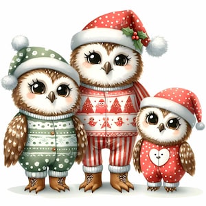 11 Família de corujas de Natal JPEG – Trio de pássaros festivos JPG clipart – Corujas fofas de inverno em pijamas para cartões, artesanato infantil, impressões de berçário, adesivos