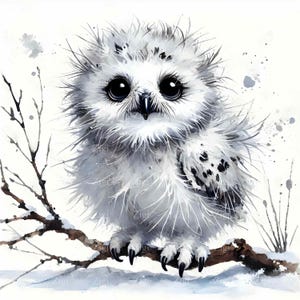 16 Images clipart hibou d'hiver JPEG - Art JPG de bébé oiseau duveteux - Impression d'animal de la forêt enneigée pour une chambre d'enfant dans les bois, une décoration saisonnière ou un design animalier