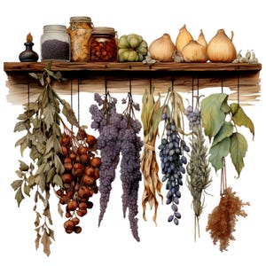14 getrocknete Kräuter PNG Clipart - Rustikale hängende Kräuter und Vorratsgläser - Vintage Botanische Kunst für Etiketten und Dekor