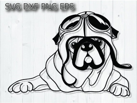 Download American Bulldog Svg Dog Breed Svg Svg Files For Cricut Etsy