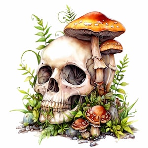 15 Cráneo humano PNG con hongos Clipart PNG, Arte digital inspirado en la naturaleza, Ilustración de calavera caprichosa