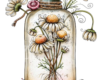 15 PNG Apothecary Bottle Chamomile, Jar Daisy Herbalist Flower Art