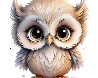 8 PNG Woodland Owl Forest Bird Sublimation Design