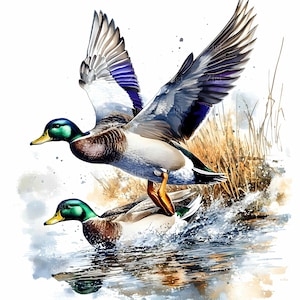 16 imágenes prediseñadas de patos voladores JPEG: acuarela de ánade real JPG para decoración de caza, arte mural de casas en el lago, manualidades al aire libre, impresiones de vida silvestre, pegatinas