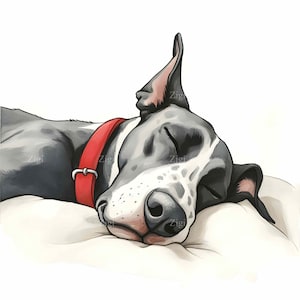 16 JPEG Great Dane – Sleeping Dog JPG Clipart – Cute Pup on Pillow for Pet Lover Decor, Calm Animal Wall Art, Digital Dog Download