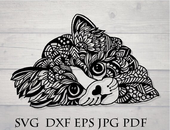 Download Cat Mandala Svg Animal Zentangle Svg Etsy