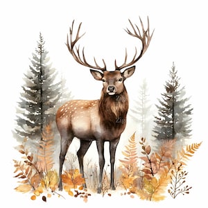 20 Clipart élan d'automne JPEG - cerf majestueux avec bois dans la forêt d'automne brumeux, art animalier, illustration numérique, JPG