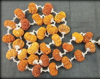 13 Mukhi Rudraksha Kantha / Kamdeva Kantha In Silver - Nepal