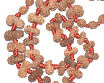 Rare 19 Mukhi Rudraksha Mala / Nineteen Face Rudraksha Mala - Java - Lab Certified