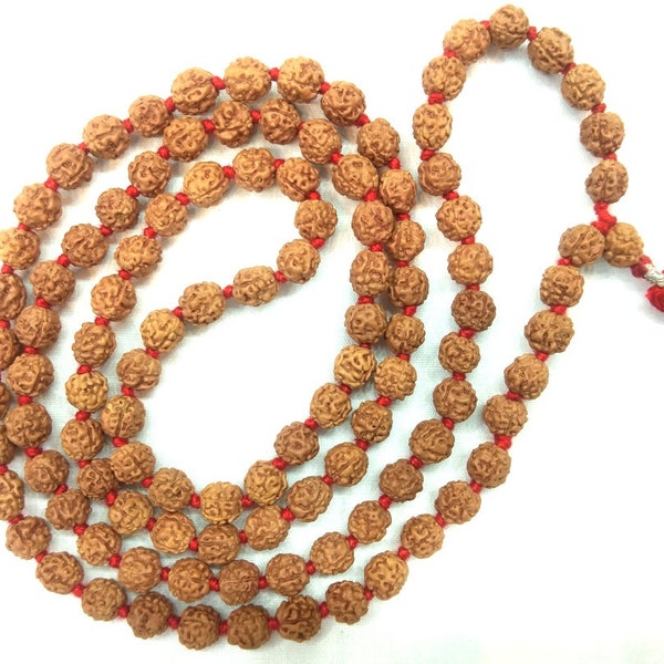 Rare 4 Mukhi Chikna Beads Rudraksha Mala / Brahma Rudraksh Mala - 108+1 beads