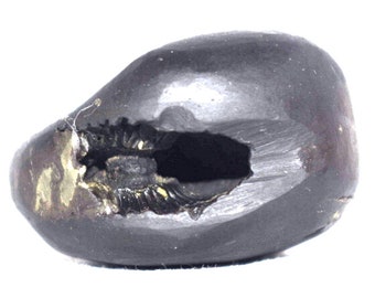 Laxmi Varaha Shaligram - Gandaki River Nepal