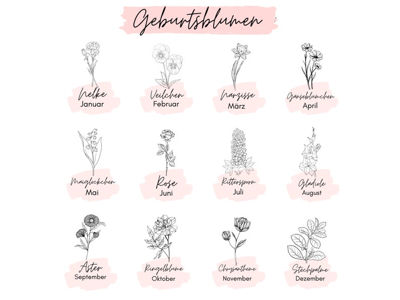 K&ouml;nnte beinhalten: Eine Grafik mit Schwarz-Wei&szlig;-Zeichnungen von Blumen, wobei jede Blume einen anderen Monat des Jahres repr&auml;sentiert. Die Blumen sind mit ihren deutschen Namen und dem entsprechenden Monat in Englisch beschriftet. Die Grafik hat einen rosa Hintergrund.
