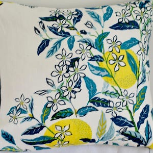 Schumacher Citrus Garden  Pillow Cover in the Color Pool
