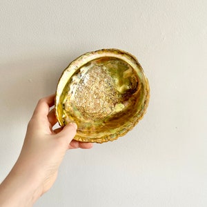 Stor vintage abalone snäckskal ringformad skål med fot, mitten av århundradet