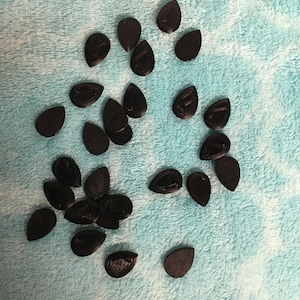 Plastic Watermelon Seeds