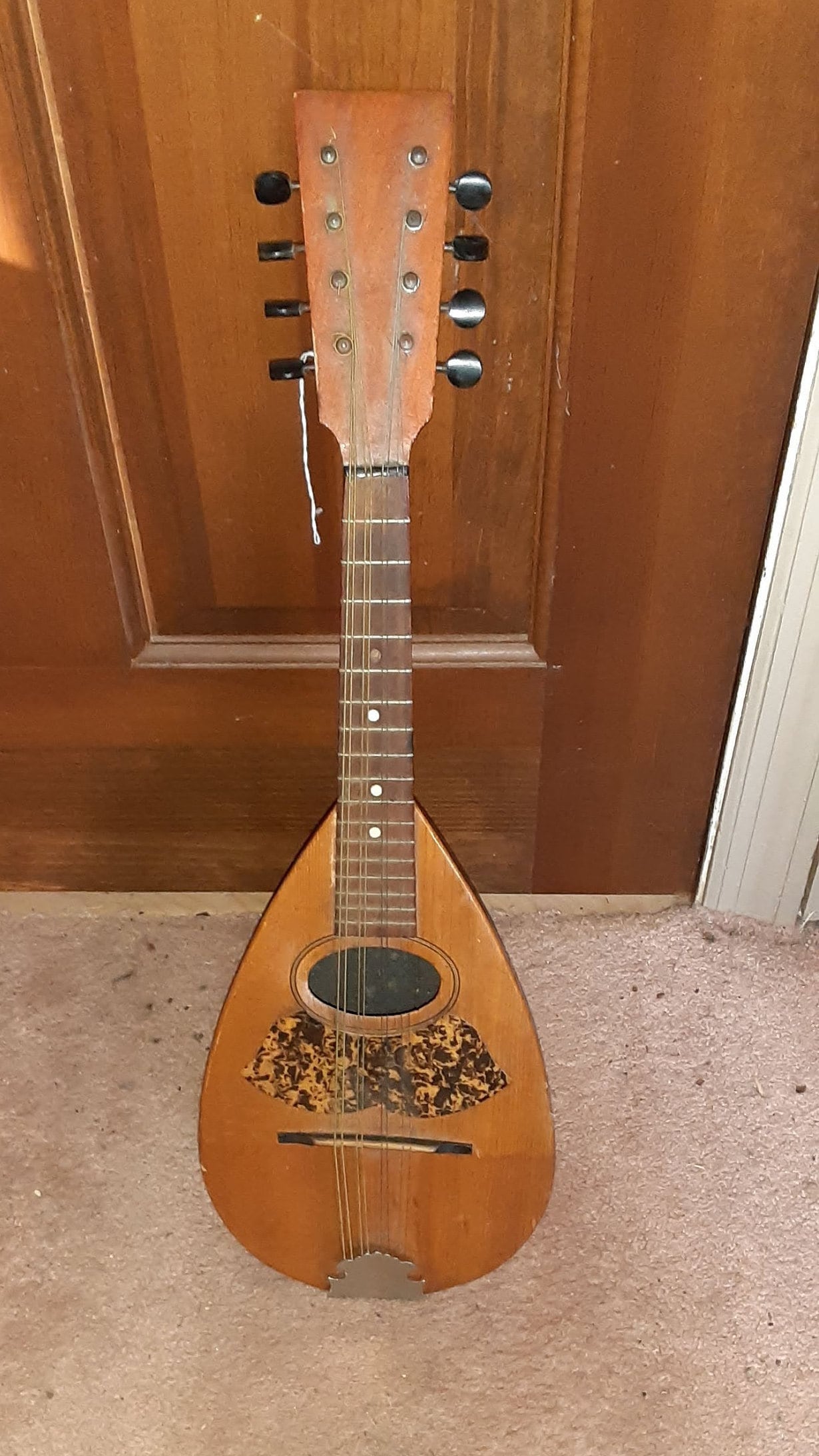 Bowl Back Mandolin for sale Only 4 left at 70