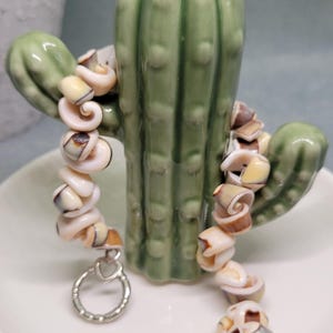 May include: A bracelet composed of small, spiraled, cream and brown-toned seashells strung together. The piece features a silver-toned metal toggle clasp with a circular ring and a T-bar closure, accented by a single pale pink bead near the clasp.