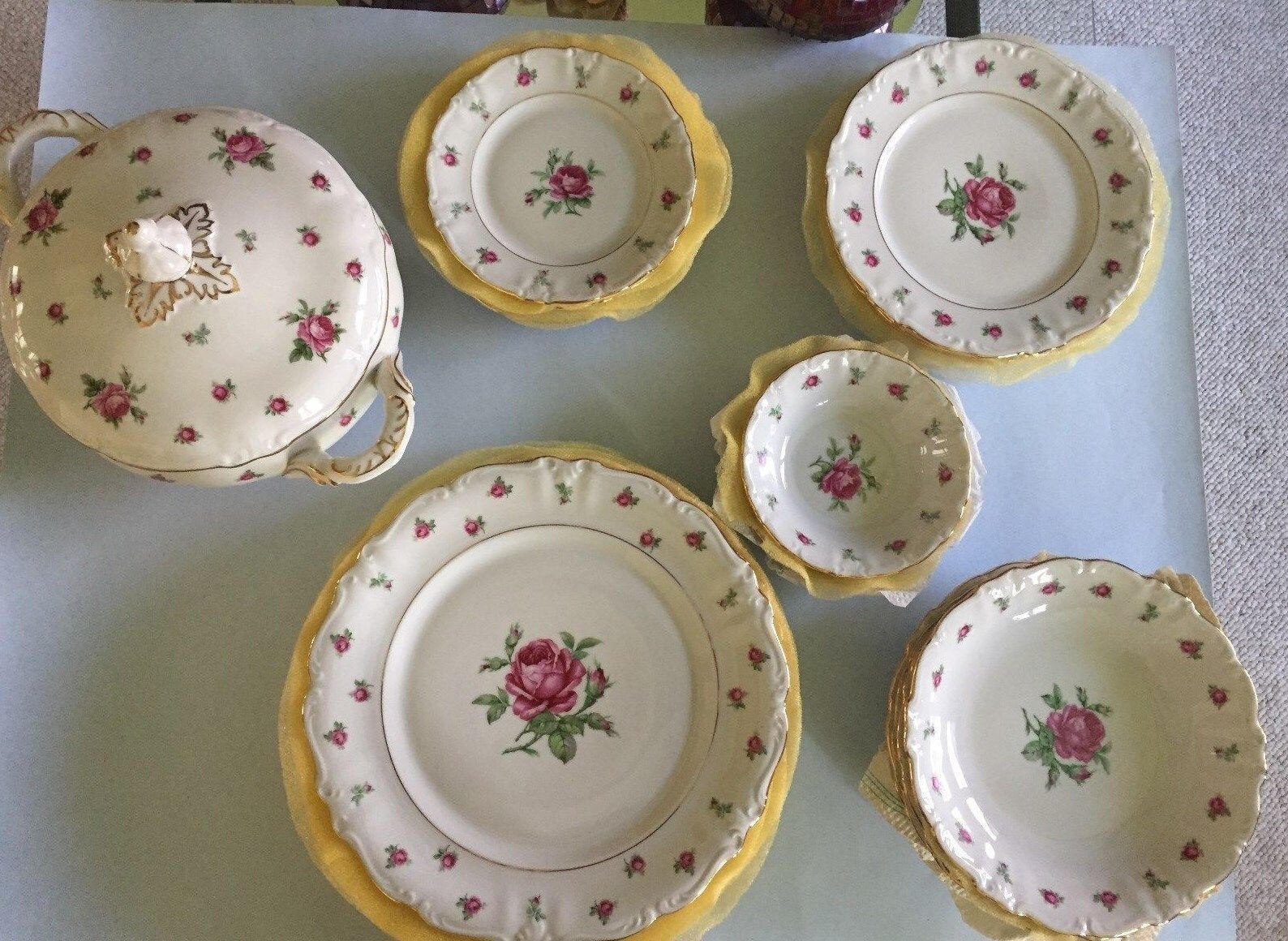 Treasure Chest Fine China Bavaria Germany first Love 27 Pieces Slightly