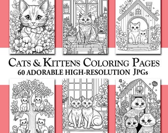 60 Adorable Cats and Kittens Coloring Pages (Digital Download)