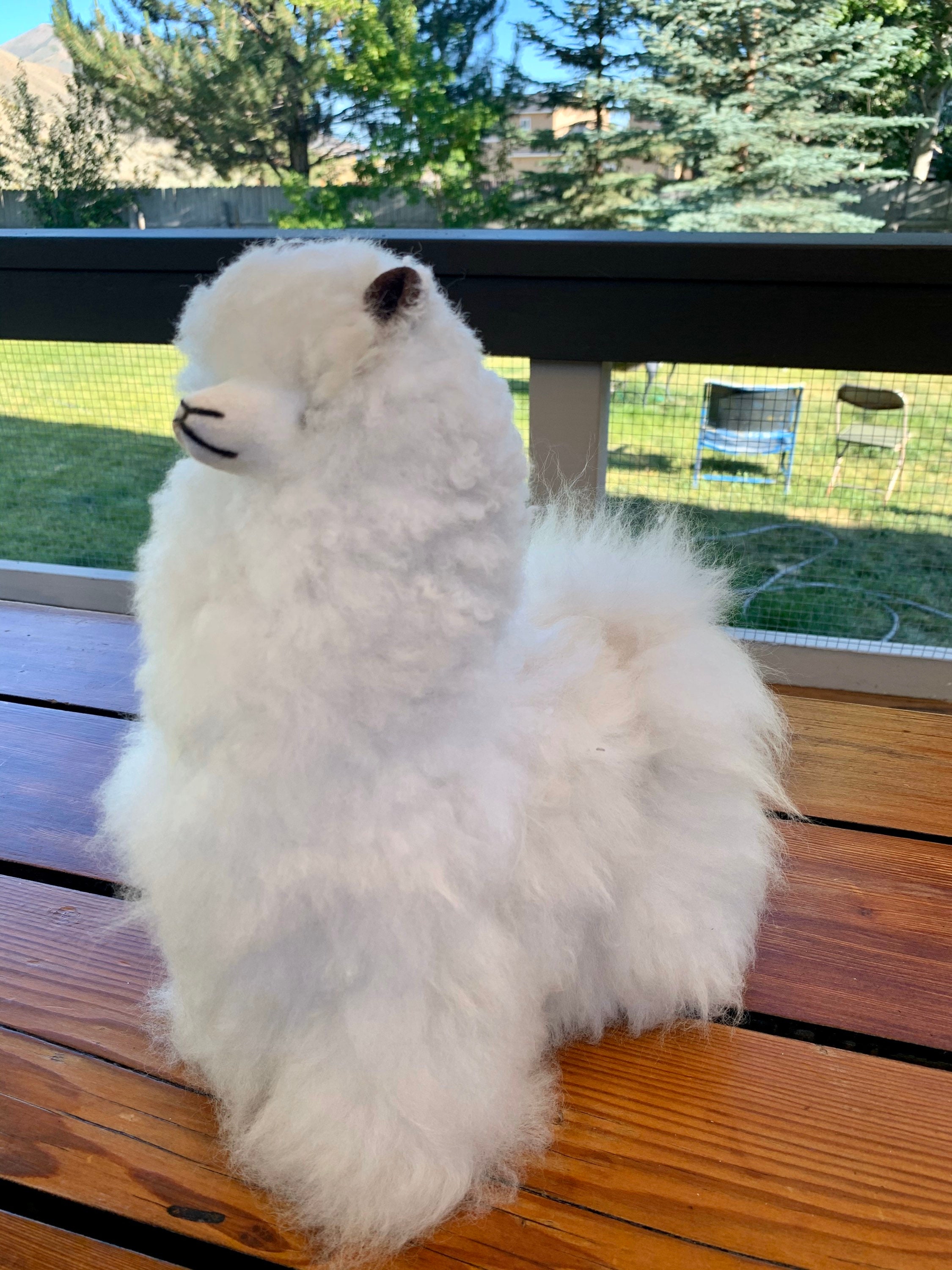 big stuffed alpaca