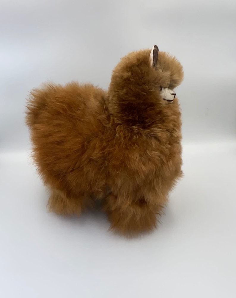 May include: A soft, brown alpaca toy with a fluffy coat. The alpaca has a small, white face with black eyes and a stitched mouth. It stands on four small legs and has small, upright ears.
