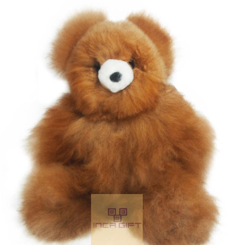 real teddy bear
