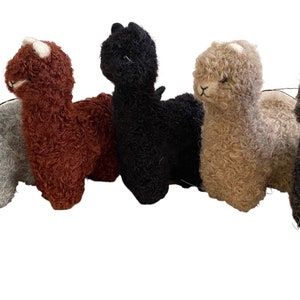 May include: Five plush alpaca toys in different colors: gray, brown, black, beige, and dark gray. The alpaca toys are all standing upright and have a fluffy texture.