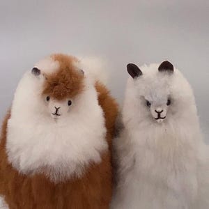 May include: Two fluffy alpaca figurines. One is white with brown accents, the other is solid white. Both have small, dark ears and embroidered facial features. These soft alpaca toys are ideal for home decor or as a gift.