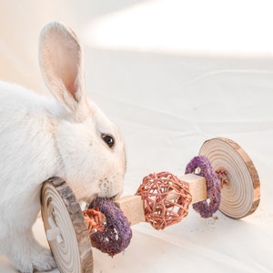 May include: A white rabbit with long ears chews on a wooden toy with a woven ball, purple fabric, and wooden wheels.