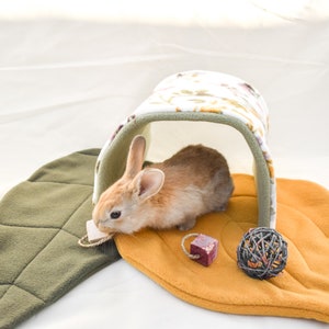 Sage Versitunnel Resting Mat Set Bed Made for Comfort for Rabbits, Guinea Pigs, Chinchillas, Hamsters and Small Pets