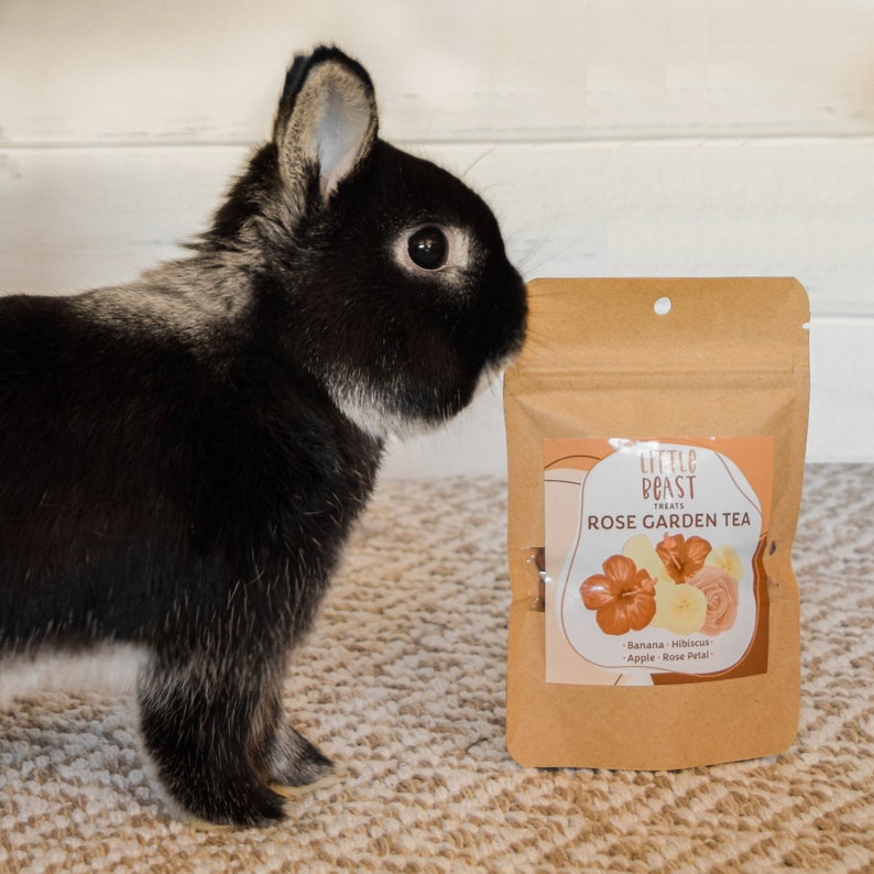 Rose Garden Tea Foraging Herb Mix for Rabbits and Hamsters Etsy