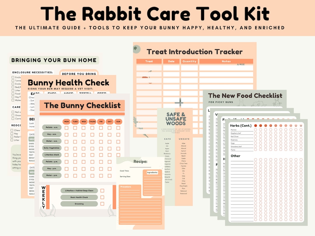 Rabbit Care Printable With Planner, New Bunny Owner Care Tips, Treat ...