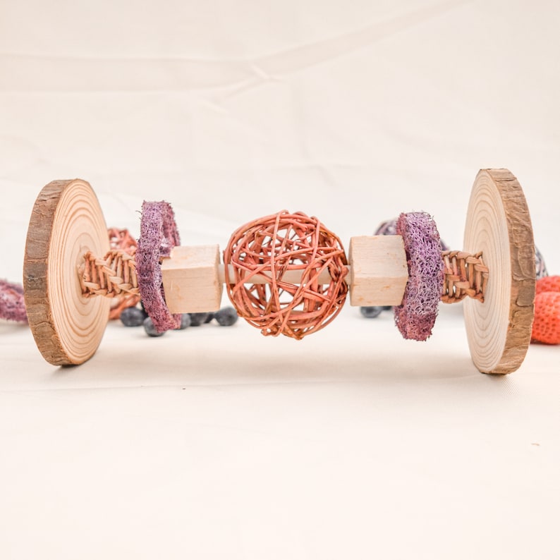 May include: A wooden toy with a woven ball, two wooden blocks, and two purple fabric rings. The toy is designed for small pets to chew on.