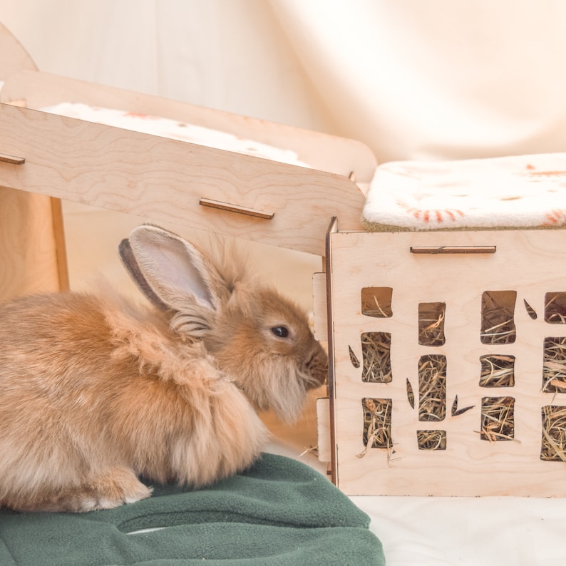 May include: A brown rabbit with long fur is sitting next to a wooden rabbit hutch with a hay feeder. The hutch has a white fleece lining and a wooden door.