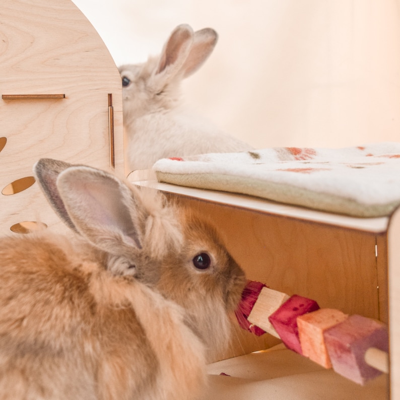 May include: Two rabbits in a wooden cage. One rabbit is white with long ears and is sitting on a platform. The other rabbit is brown and is looking at a wooden toy with colorful beads.