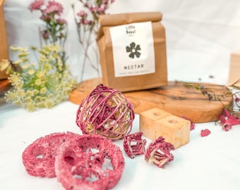 Nectar Treat Roller REFILL Kit Limited Edition Holiday Flavor