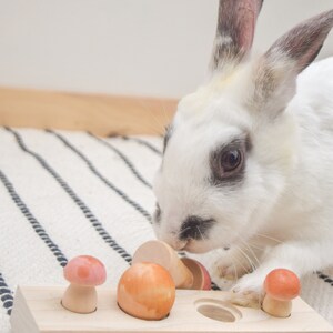 Mushroom Foraging Tray Toy for Bunnies Boredom Buster Enrichment for ...