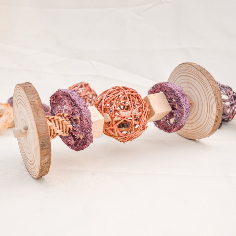 May include: A wooden toy for small pets, featuring a variety of textures and shapes. The toy includes a wooden dowel with a natural wood ball, a purple textured ring, and a natural wood disc.