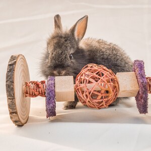 May include: A gray bunny rabbit with brown eyes is playing with a wooden toy. The toy has a woven ball, a wooden block, and a purple sponge. The toy is on a white surface.