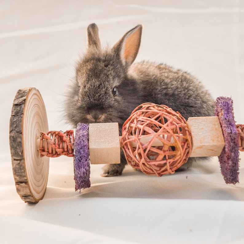 May include: A gray bunny rabbit with brown eyes is playing with a wooden toy. The toy has a woven ball, a wooden block, and a purple sponge. The toy is on a white surface.