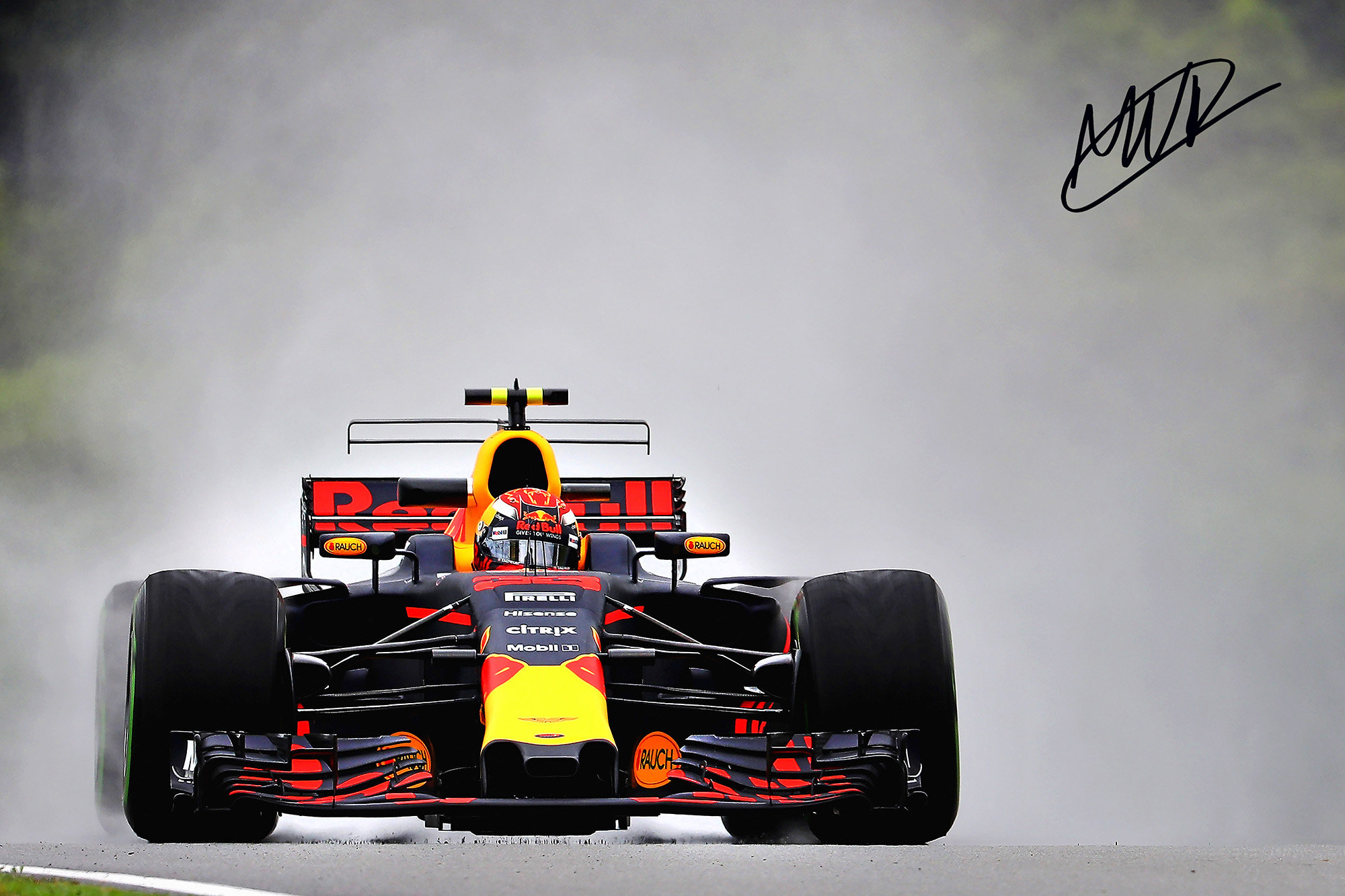Red Bull Racing F1 with Pre-Printed Max Verstappen Autograph