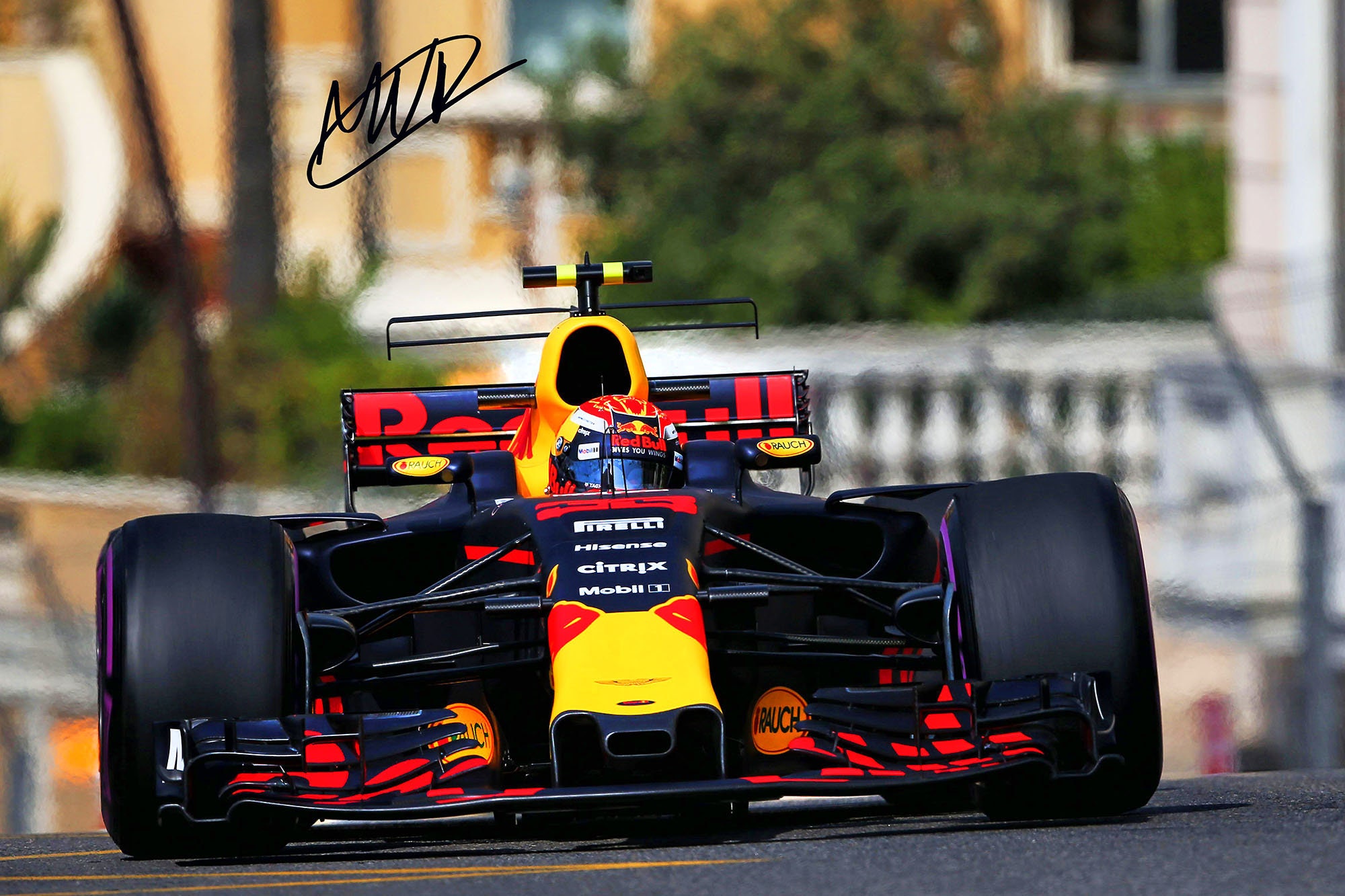 Red Bull Racing F1 With Pre-printed Max Verstappen Autograph