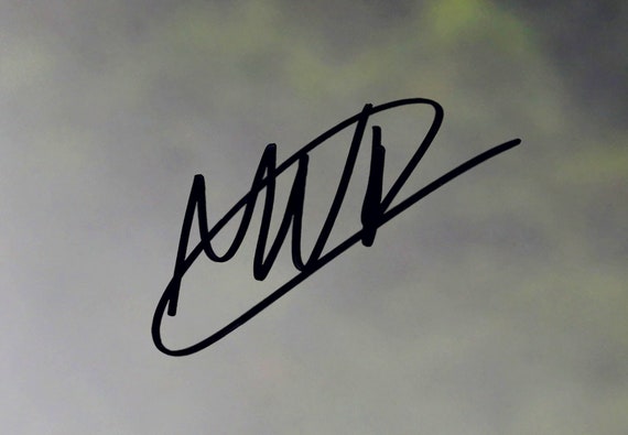 Red Bull Racing F1 with Pre-Printed Max Verstappen Autograph