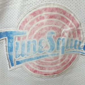 May include: White basketball jersey with a blue and pink Tune Squad logo on the back. The logo features a basketball with a red and white swirl pattern and the words "Tune Squad" in blue.