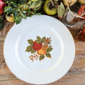 Enoch Wedgwood -  Dinner Plates - 10 1/8&quot; - English Harvest - England - Set of 4