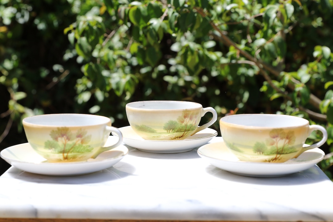 Vintage Chikaramachi Hand Painted Tea Cups and Saucers Set of 3 Made in Japan Etsy